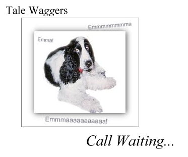 Tale Waggers - Call Waiting  Photo:  Emma