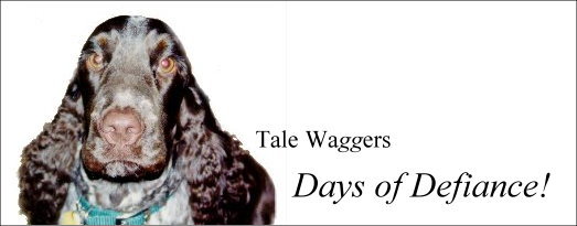 Tale Waggers - Days of Defiance