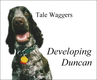 Title: Tale Waggers - Developing Duncan  Image: Duncan as a teenager