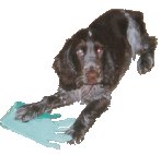 Duncan with a glove he should not have