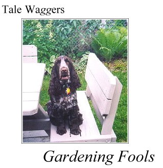 Title: Tale Waggers - Gardening Fools Photo: Duncan on the picnic table - where he does not belong