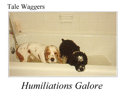 Title: Tale Waggers - Humiliations Galore  Photo: Earnest and Arthur in the Tub