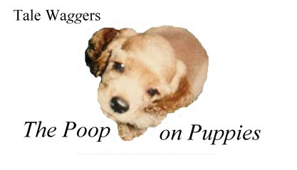 Title - The Poop on Puppies