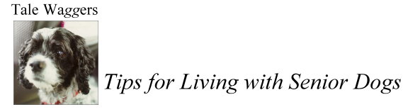 Tale Waggers - Tips for Living with Senior Dogs