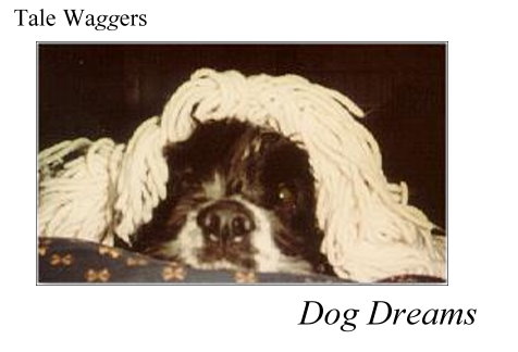 Title: Tale Waggers - Dog Dreams  Picture of Arthur asleep under the covers.