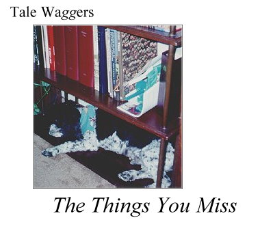 Title:  Tale Waggers - The Things You Miss  Photo:  Arthur sleeping on the bookshelf