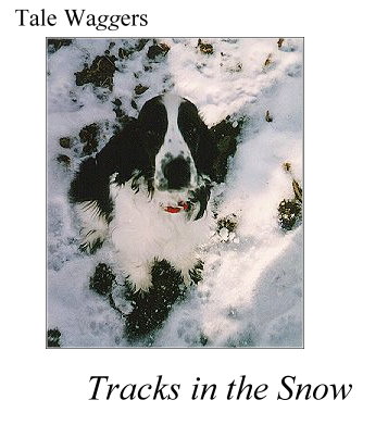 Tale Waggers - Tracks in the Snow