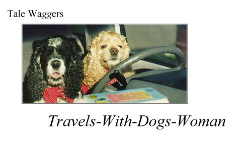 Title:  Tale Waggers - Travels-with dogs-woman  Picture: Two dogs at the wheel of a car