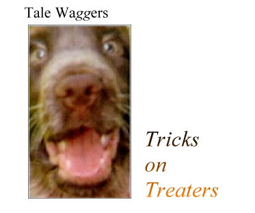 Title:  Tale Waggers - Trick on Treaters  Graphic:  Photo of Dog Face